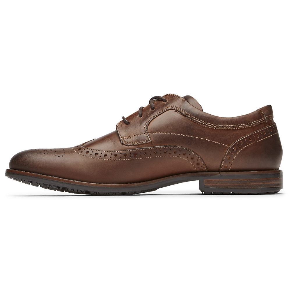 Zapatos Con Cordones Rockport Hombre Mexico - Dustyn Wingtip Marrom - KZVMO1670